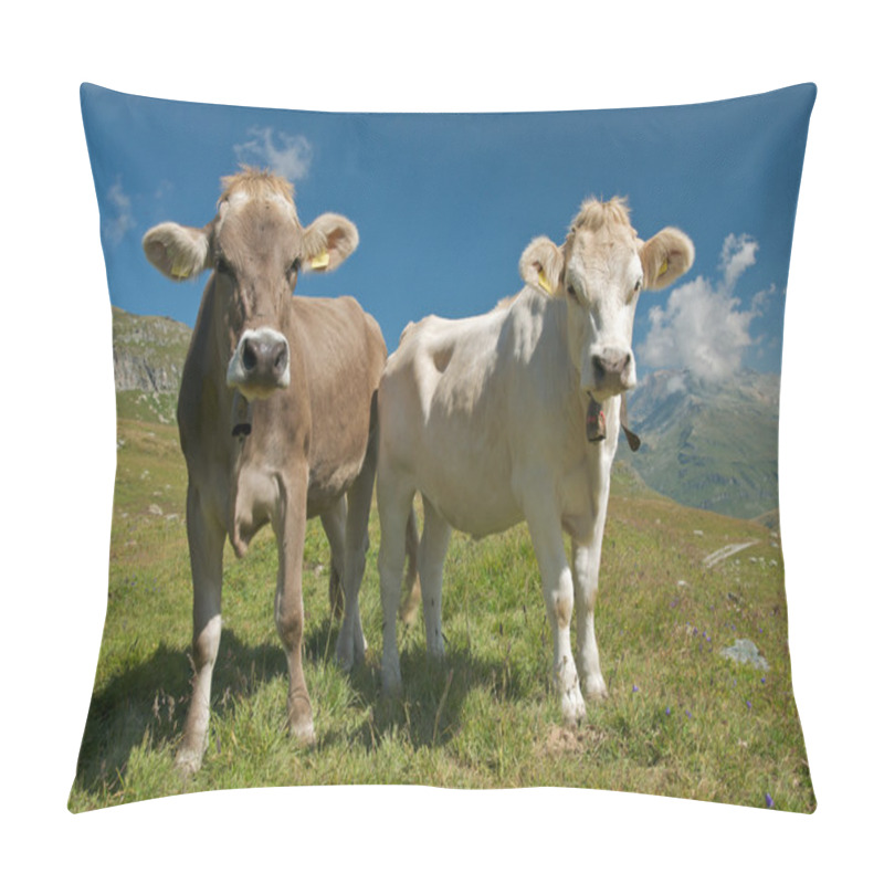 Personality  Swiss Cows pillow covers