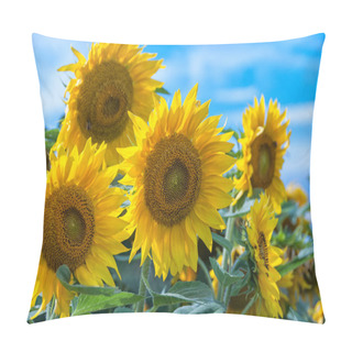 Personality  Sunflower (helianthus Annuus) Pillow Covers
