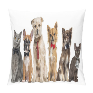 Personality  Group Of Dogs And Cats In Front Of A White Background Pillow Covers