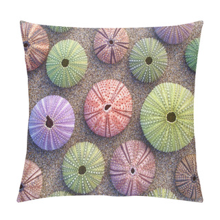 Personality  Colorful Sea Urchins On The Beach Pillow Covers