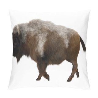 Personality  American Bison Pillow Covers