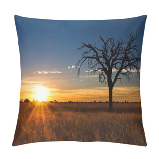 Personality  Lovely Sunset In Kalahari With Dead Tree Pillow Covers