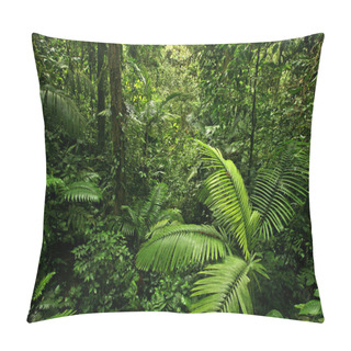 Personality  Dense Rain Forest Jungle Pillow Covers