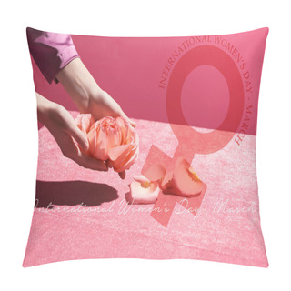 Personality  Cropped View Of Woman Holding Rose Petals Above Velour Cloth Isolated On Pink, International Womens Day Illustration Pillow Covers