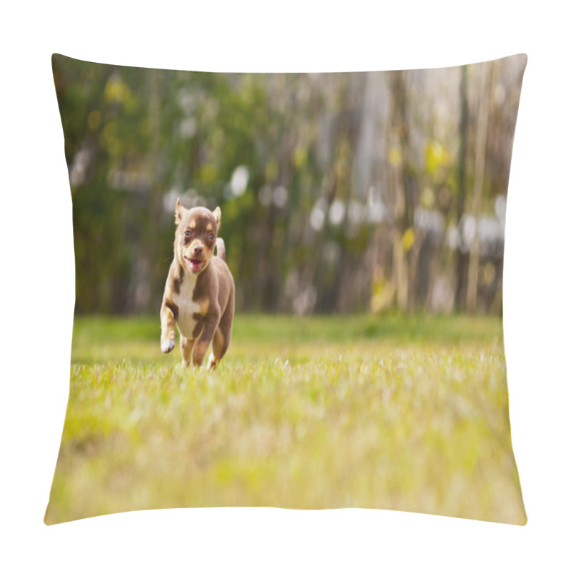 Personality  happy chihuahua pillow covers