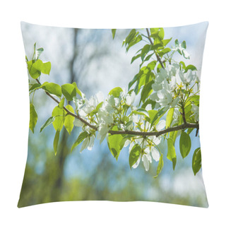 Personality  Spring Landscape, Apple Tree Flowers. Beautiful Spring Blooming Tree, Gentle White Flowers, Fresh Cherry Blossom Border On Green Soft Focus Background, Spring Time Nature Pillow Covers
