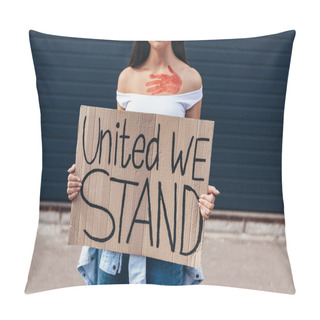 Personality  Cropped View Of Feminist Holding Placard With Inscription United We Stand On Street Pillow Covers