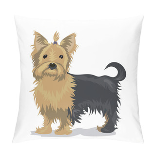 Personality  Yorkshire Terrier Dog At One Color Background Pillow Covers
