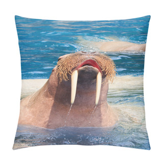 Personality  Close Up Face Of Walrus With Big Ivory Teeth In Deep Sea Water  Pillow Covers