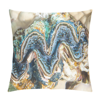 Personality  Common Giant Clam On Coral Reef Pillow Covers