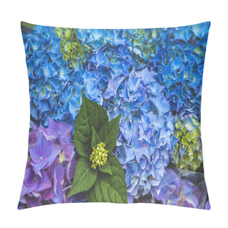 Personality  Close Up View Of Beautiful Blue Hortensia Flowers Pillow Covers