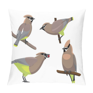 Personality  Bird Cedar Waxwing Set Cartoon Vector Illustration Pillow Covers