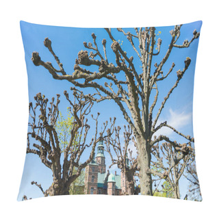 Personality  View Through Bare Trees At Beautiful Famous Rosenborg Castle At Sunny Day, Copenhagen, Denmark Pillow Covers