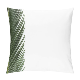 Personality  Top View Of Green Palm Leaf Isolated On White Pillow Covers