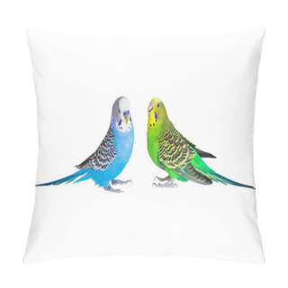 Personality  Two Parrots With Magnificent Plumage Sit Opposite Each Other Pillow Covers