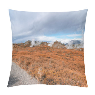 Personality  Craters Of The Moon, Landscape Of Beautiful Geysers, Taupo - New Zealand. Pillow Covers