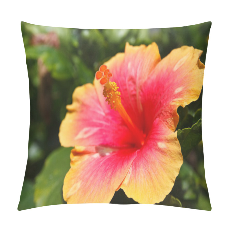Personality  Hibiscus flower pollen. pillow covers
