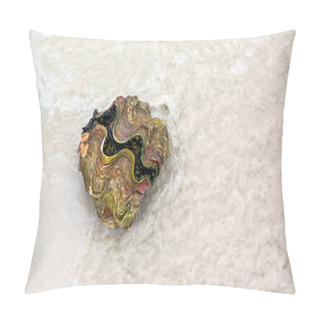 Personality  Giant Clam Pillow Covers