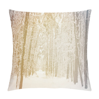 Personality  Toned Picture Of Beautiful Snowy Winter Forest Pillow Covers