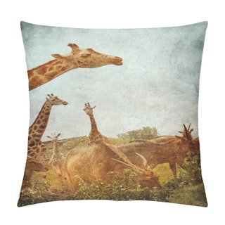 Personality  African Animals Pillow Covers