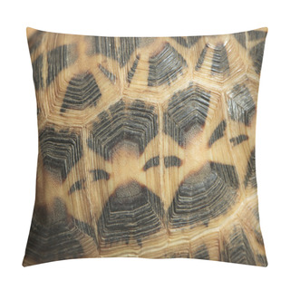 Personality  Common Spider Tortoise Shell Texture Pillow Covers