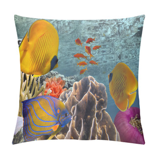 Personality  Wonderful And Beautiful Underwater World With Corals And Tropica Pillow Covers