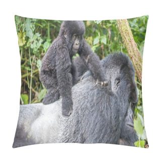 Personality  Baby Mountain Gorilla On A Silverback. Pillow Covers