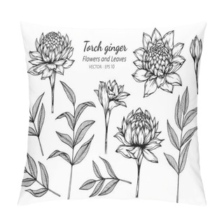 Personality  Collection Set Of Torch Ginger Flower And Leaves Drawing Illustr Pillow Covers