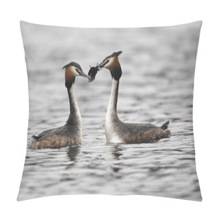 Personality  Great-crested Grebe, Podiceps Cristatus Pillow Covers