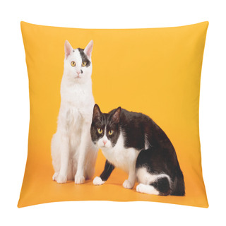 Personality  Two Black And White Japanese Bobtails On Orange Background Pillow Covers