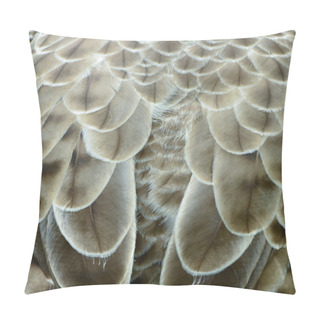 Personality  Eagle Feather Detail Pillow Covers
