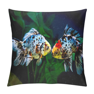 Personality  Close Up Goldfish Pillow Covers