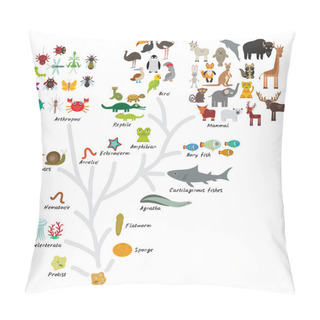 Personality  Evolution In Biology, Scheme Evolution Of Animals Isolated On White Background. Children's Education, Science. Evolution Scale From Unicellular Organism To Mammals. Vector Pillow Covers