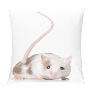 Personality  Mouse With A Long Tail Pillow Covers