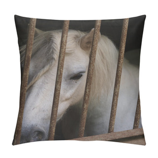 Personality  Pony Behind Bars Pillow Covers