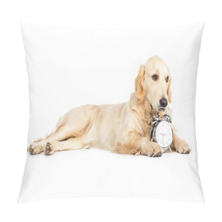 Personality  Dog With Alarm Clock  Pillow Covers