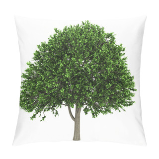 Personality  American Elm Tree Isolated On White Background Pillow Covers