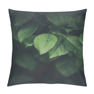 Personality  Natural Background From Plants,Green Nature Leaf Texture Pillow Covers