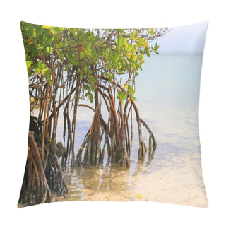 Personality  Mangroves In The Florida Keys Pillow Covers