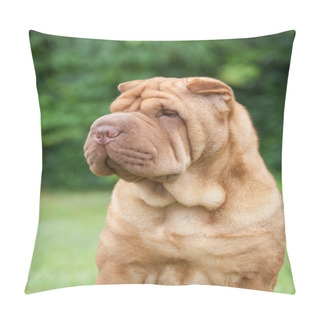 Personality  Portrait Of A Purebred  Dog Chinese Shar-Pei On A Green Backgrou Pillow Covers