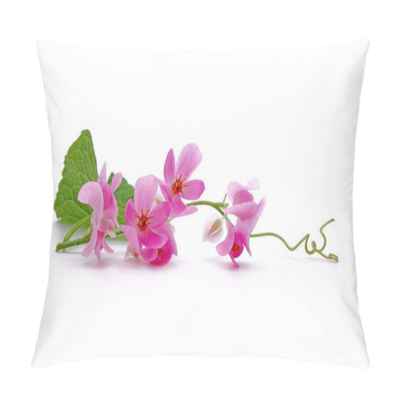 Personality  Mexican Creeper, Pink Mexican Creeper (Antigonon Leptopus) Isolated On White Background Pillow Covers