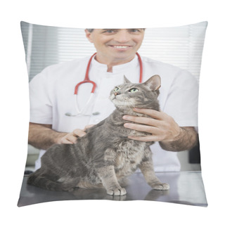 Personality  Doctor Smiling While Holding Ill Cat In Clinic Pillow Covers
