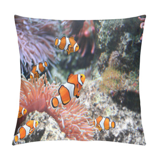 Personality  Sea Anemone And Clown Fish Pillow Covers