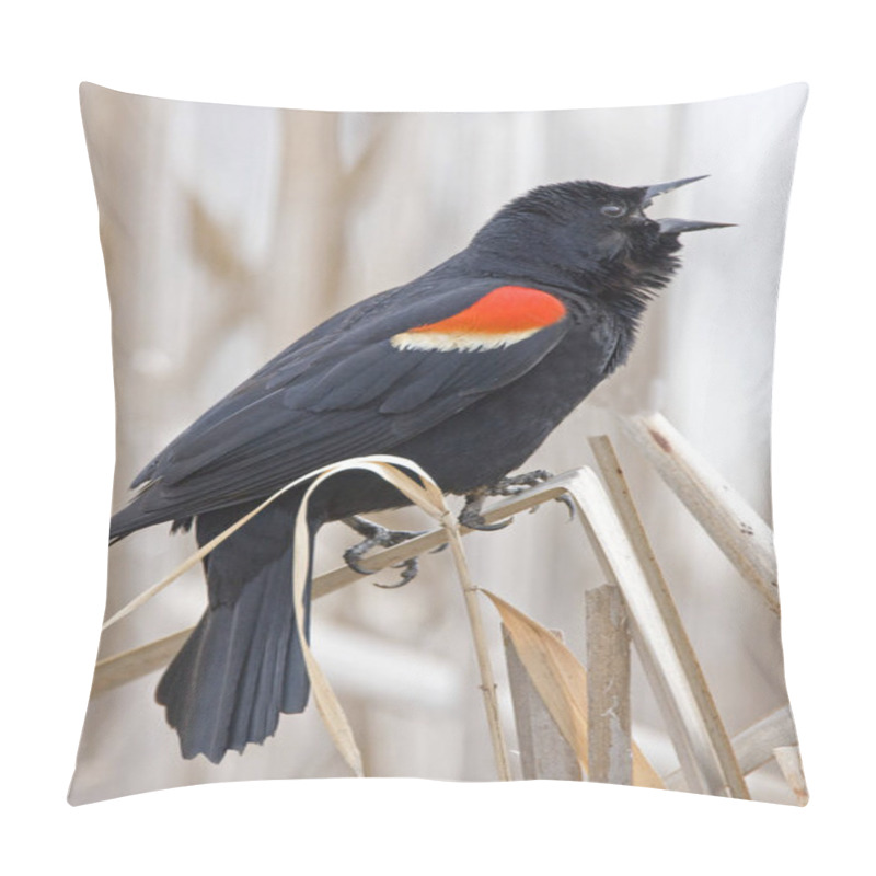 Personality  A Vertical Red Winged Blackbird, Agelaius phoeniceus, displaying male pillow covers