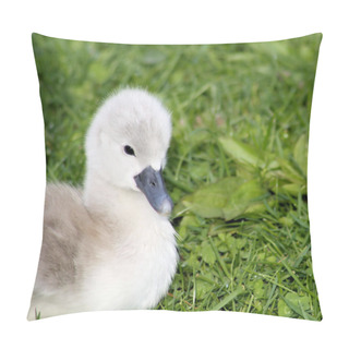 Personality  Baby Swan Pillow Covers