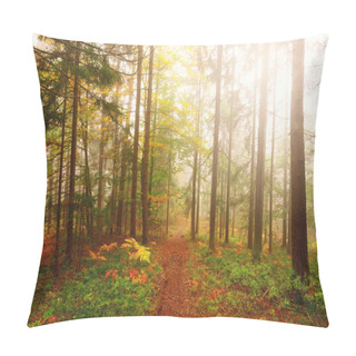 Personality  Misty Autumn Season Colored Forest Leaves Pillow Covers
