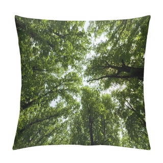 Personality  Green Summer Trees Pillow Covers