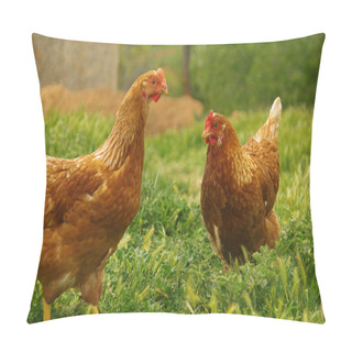 Personality  Chicken 07 Pillow Covers