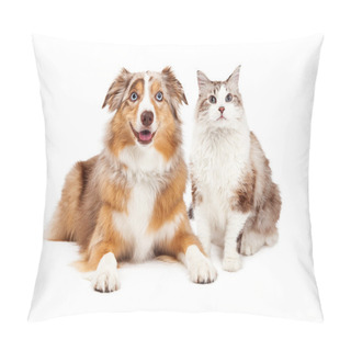 Personality  Cat And Happy Dog Pillow Covers