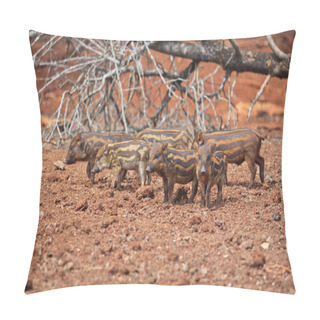 Personality  Wild Boars Family  Pillow Covers